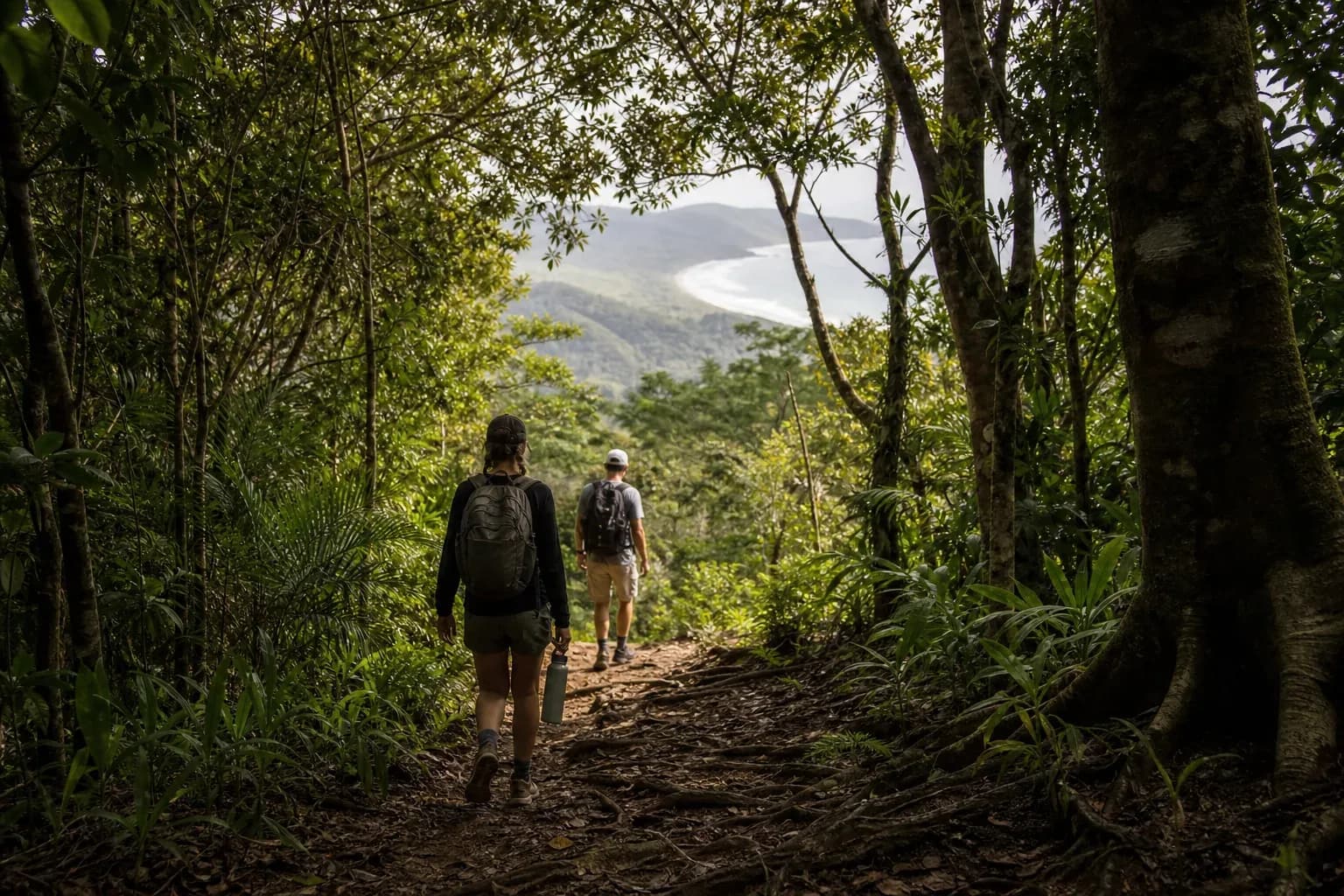 Sendero entre naturaleza tropical