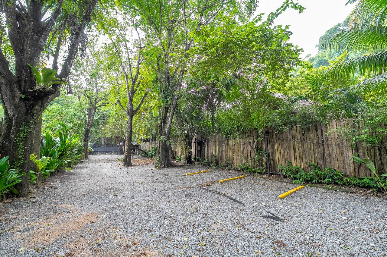 Dreamcatcher arrival and parking